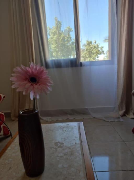 Apartment Stella De Mari In Makadi With *
