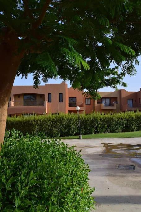 Apartment Stella De Mari In Makadi With *