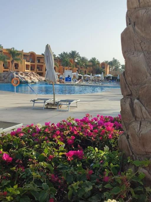 Stella De Mari In Makadi With * Hurghada