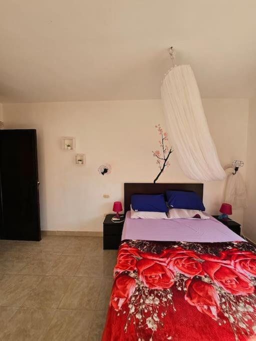 Stella De Mari In Makadi With