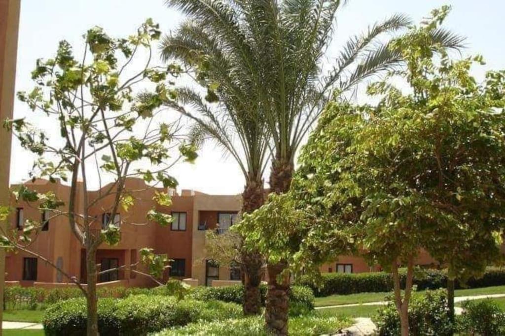 Stella De Mari In Makadi With Apartment Hurghada